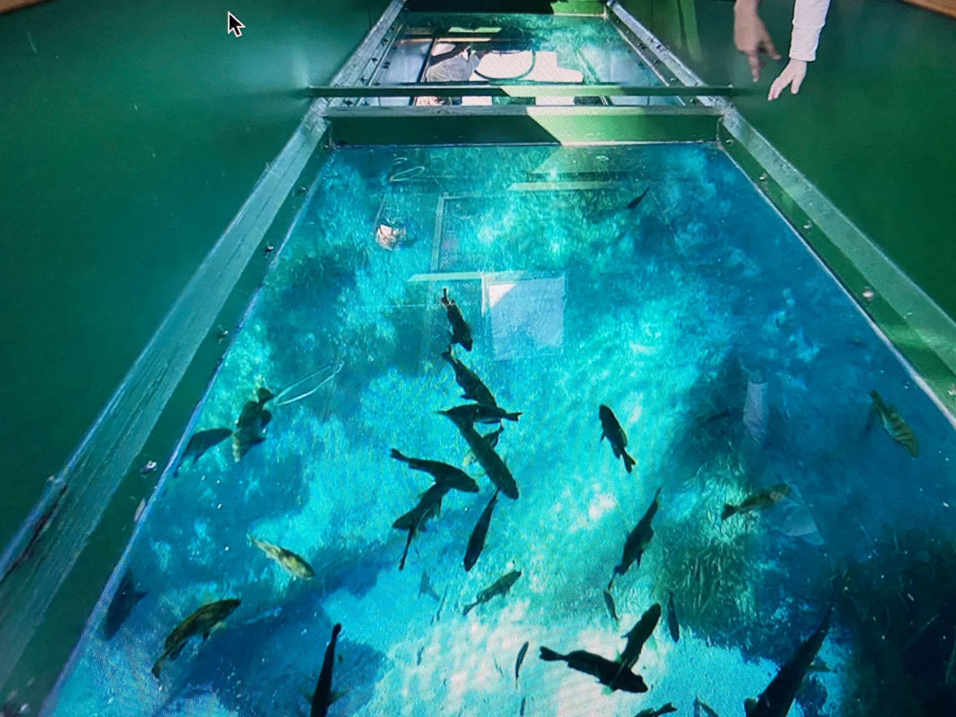 Key Largo Day Trip from Bayside MarketPlace