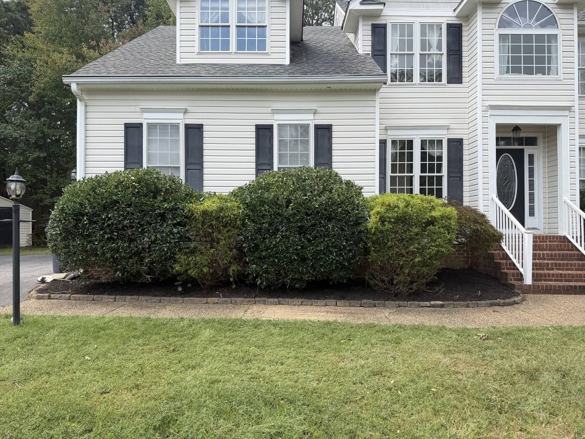 Professionally pruned shrubs and freshly mulched landscape bed in Chesterfield VA