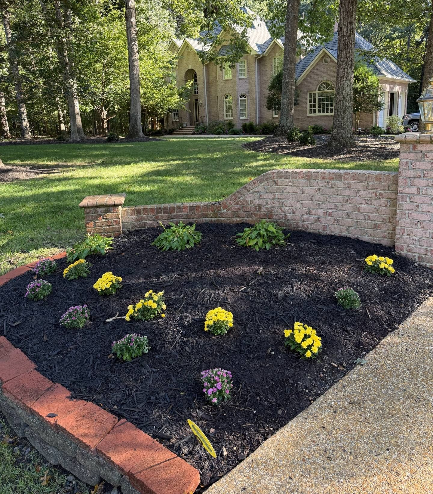 Finished landscaped flower bed with fresh mulch and colorful flowers in Chesterfield VA