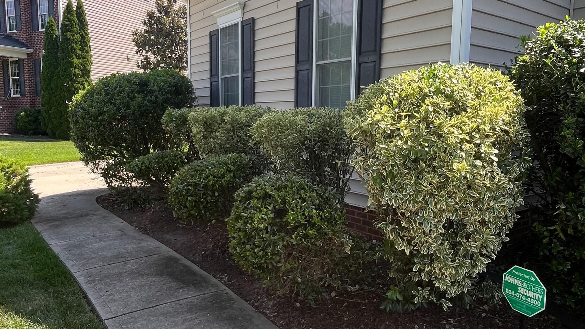 Professionally trimmed and shaped shrubs after landscape maintenance by Tayeb's Landscaping in Chesterfield, VA.