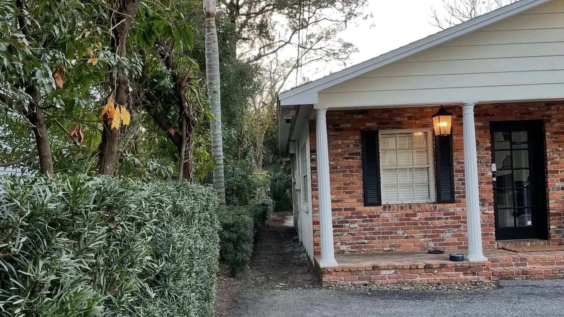 Residential shrub being professionally pruned and shaped in Chesterfield, VA.