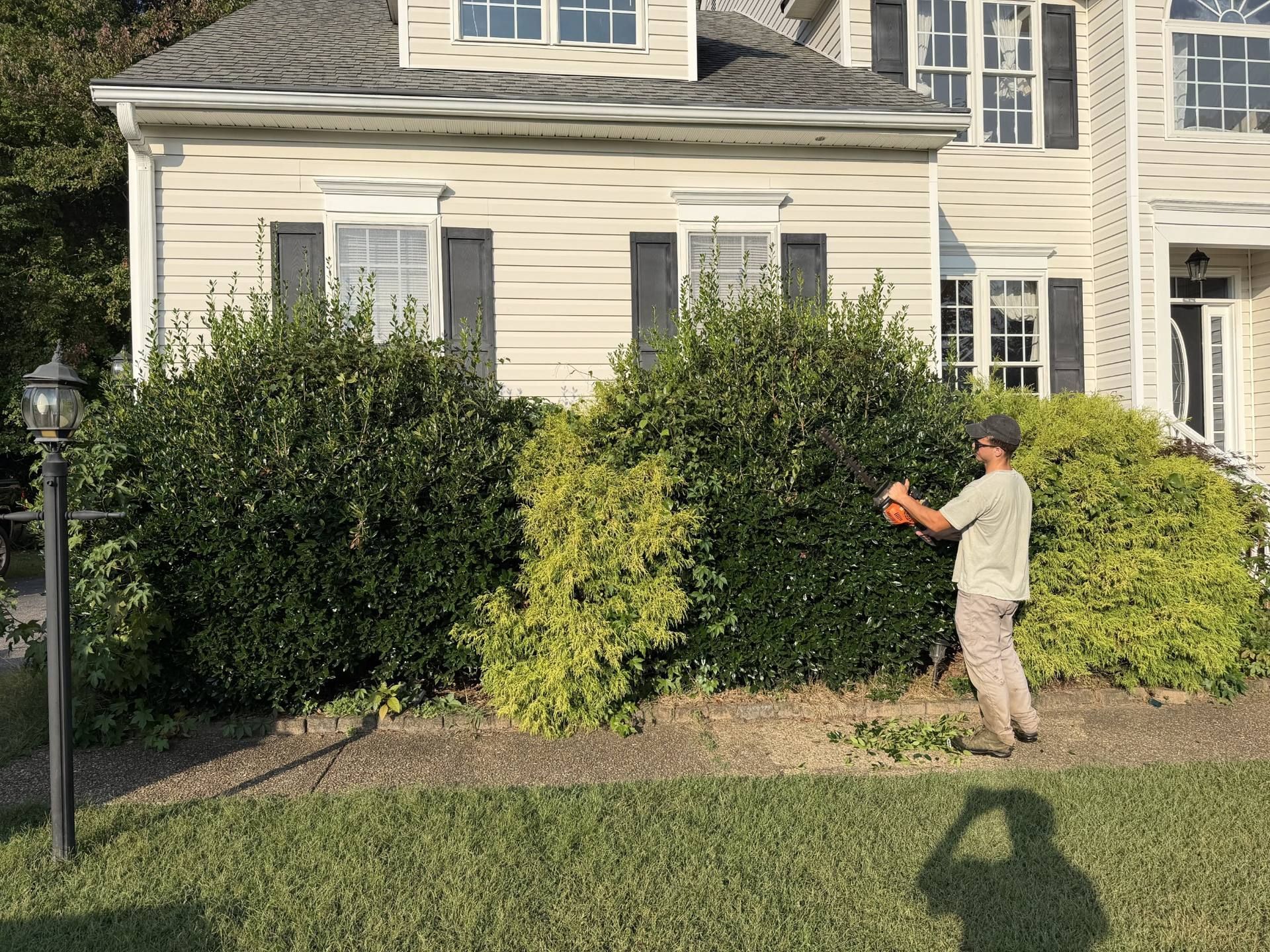 Tayeb's Landscaping pruning overgrown shrubs at a Chesterfield VA home