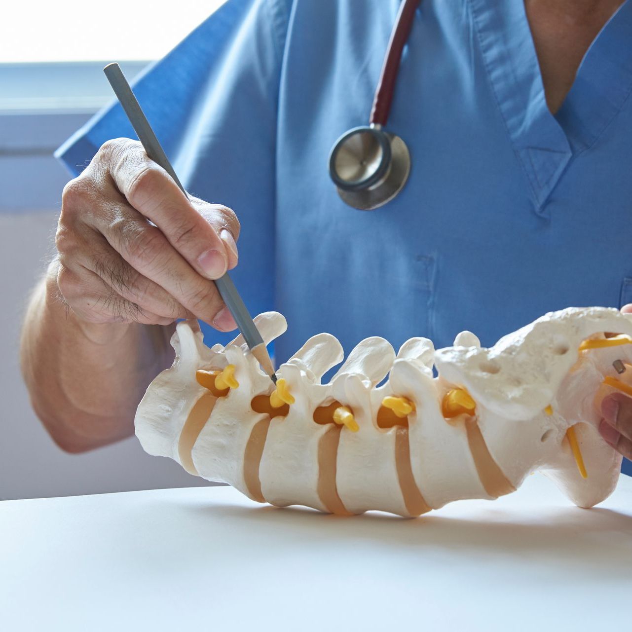 A neurosurgeon using pencil pointing at lumbar vertebra model in medical office.
