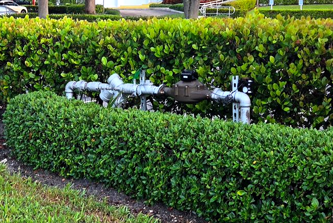 Backflow regulator inside a neatly trimmed green hedge by a grassy roadside.