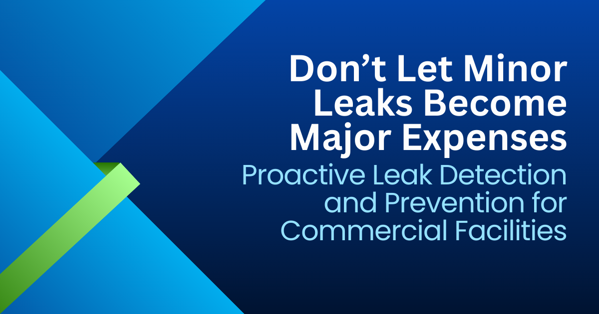Blue geometric banner: “Don’t Let Minor Leaks Become Major Expenses” with leak detection and prevention text.