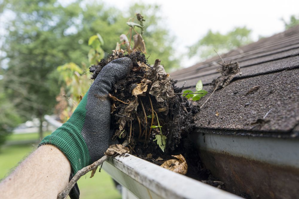 A Person is Cleaning a Gutter of Leaves and Dirt From a Roof — Norwest Roof Restorations In Central Coast, NSW
