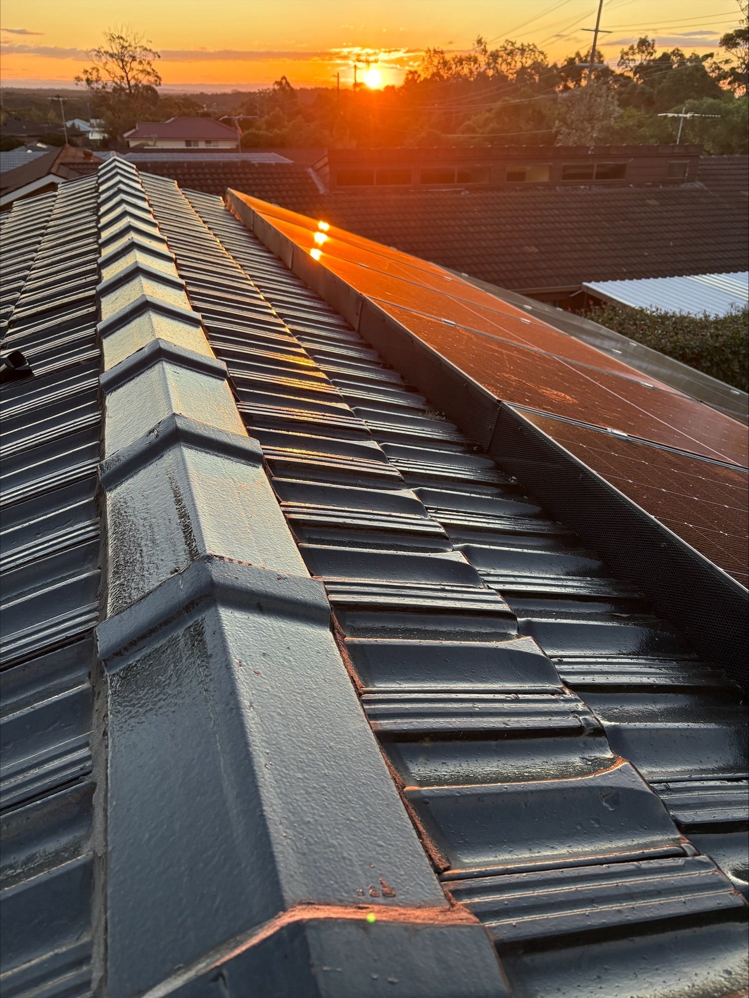Leaf and Vermin Guard installed around the panels— Norwest Roof Restorations In Central Coast, NSW
