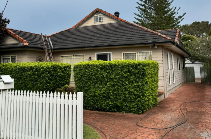 house with a mossy roof on a home in the central coast 
