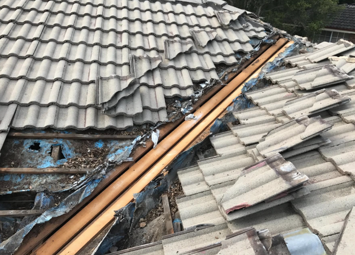 small collage of a leaf guard protection on a roof in the central coast