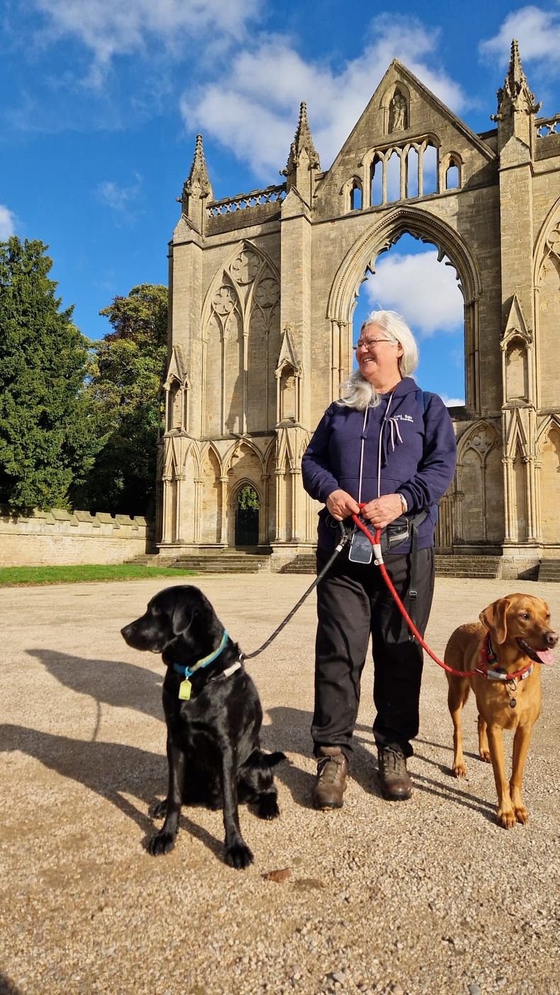 Woman walking two dogs near a stone abbey ruin on a sunny day.