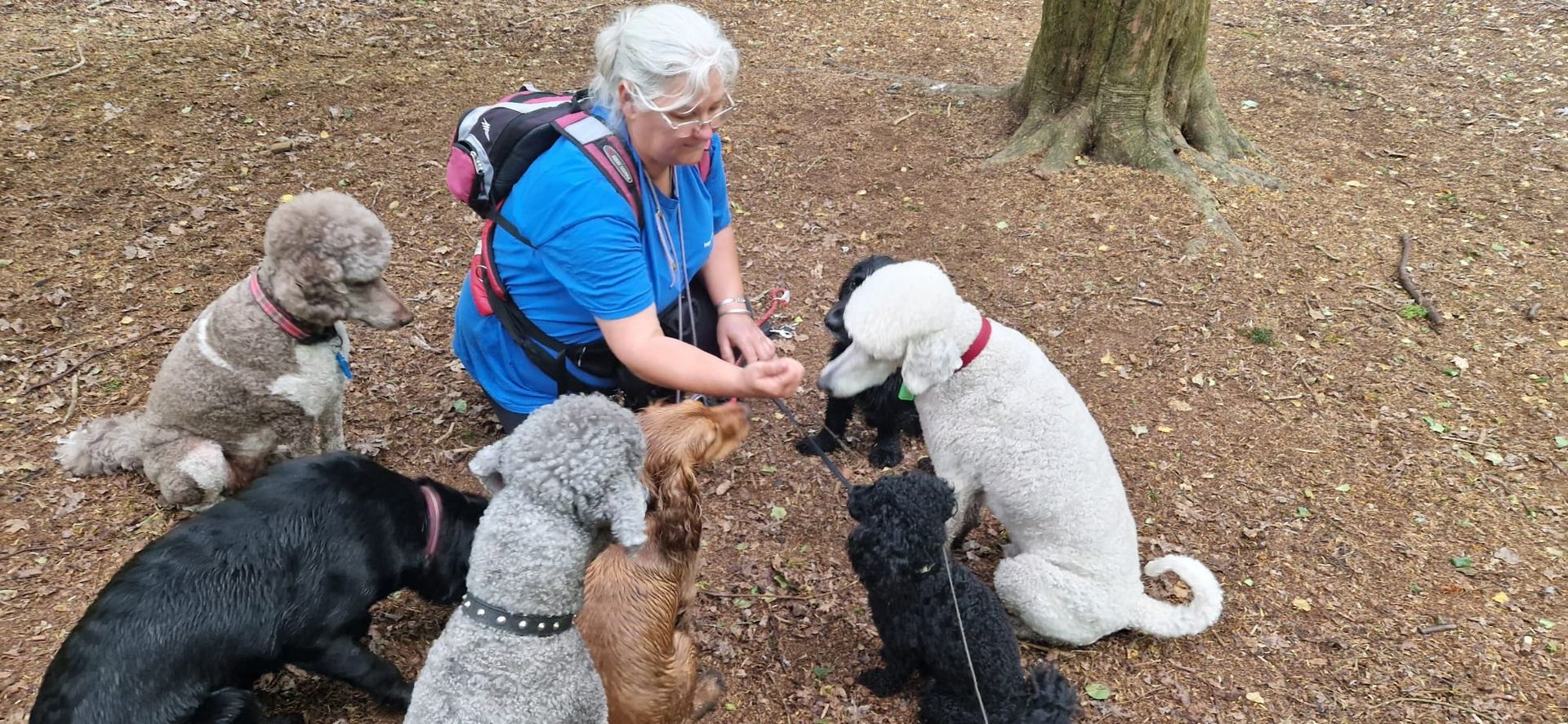 Woman surrounded by six dogs in a wooded area. The woman is holding her hand out while the dogs sit nearby.
