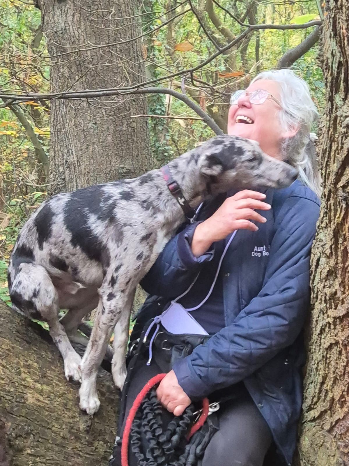 Dog playfully nuzzles a smiling person outdoors, leaning against a tree. The dog has a spotted coat.