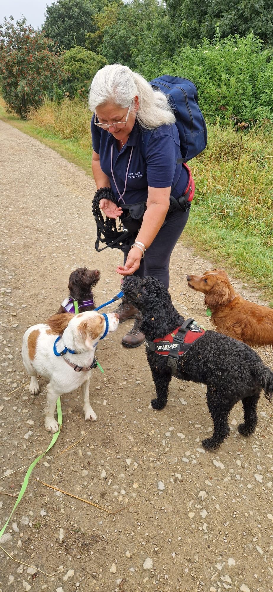 Woman feeding treats to four dogs on a dirt path; one white, one brown, one black, and one golden.