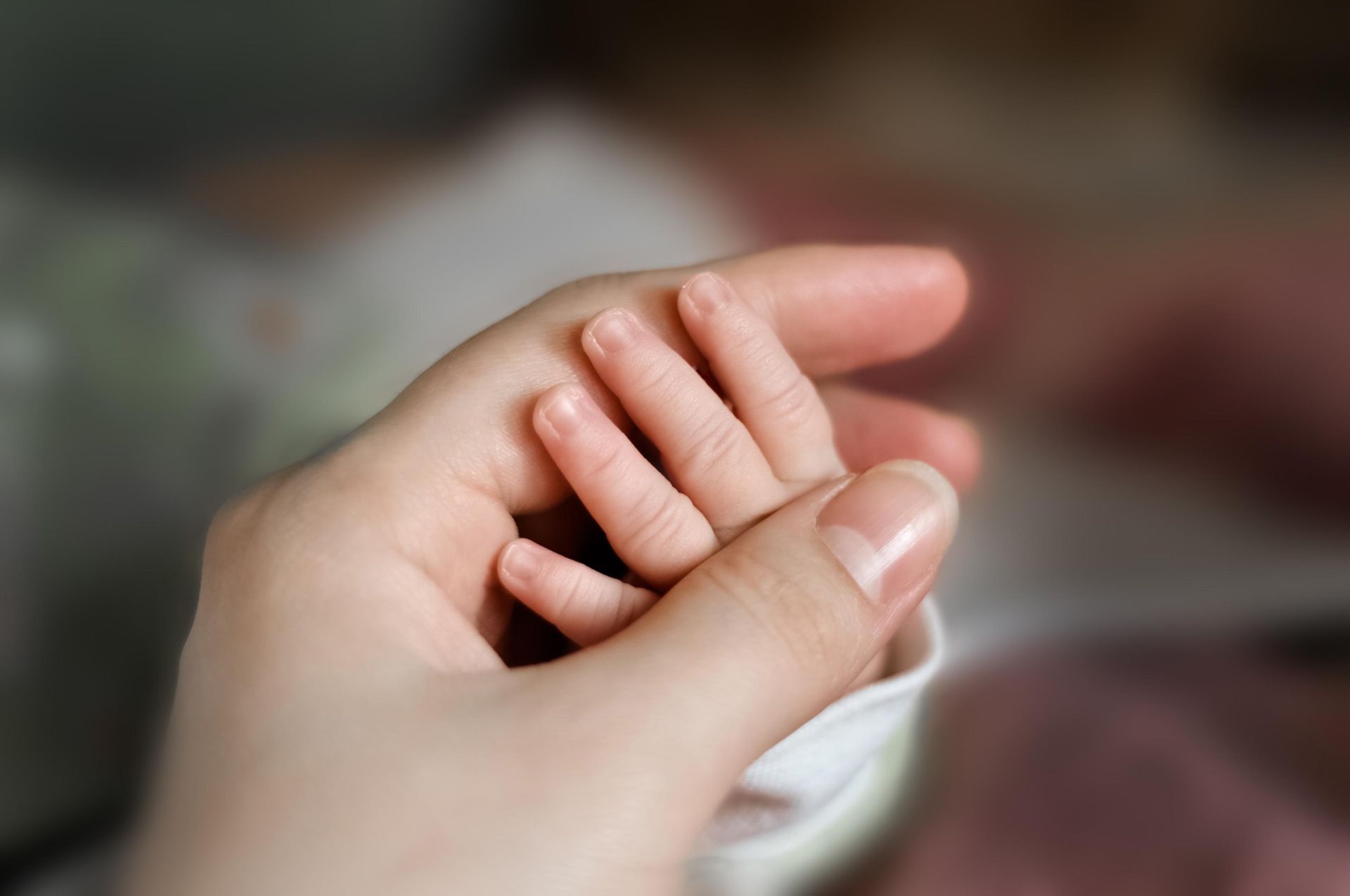 Adult hand holding a baby's tiny hand, fingers intertwined, in soft focus.