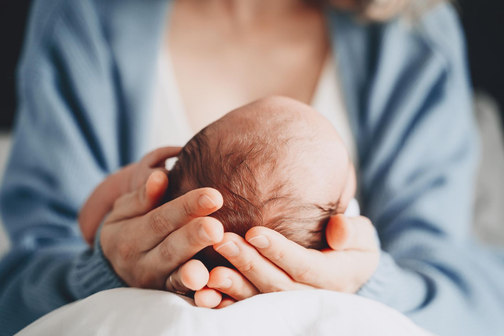 Baby's head held gently in the cupped hands of a person wearing a blue sweater.