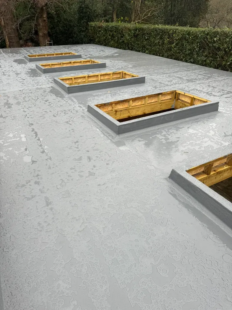 There are a lot of windows on the roof of a building.