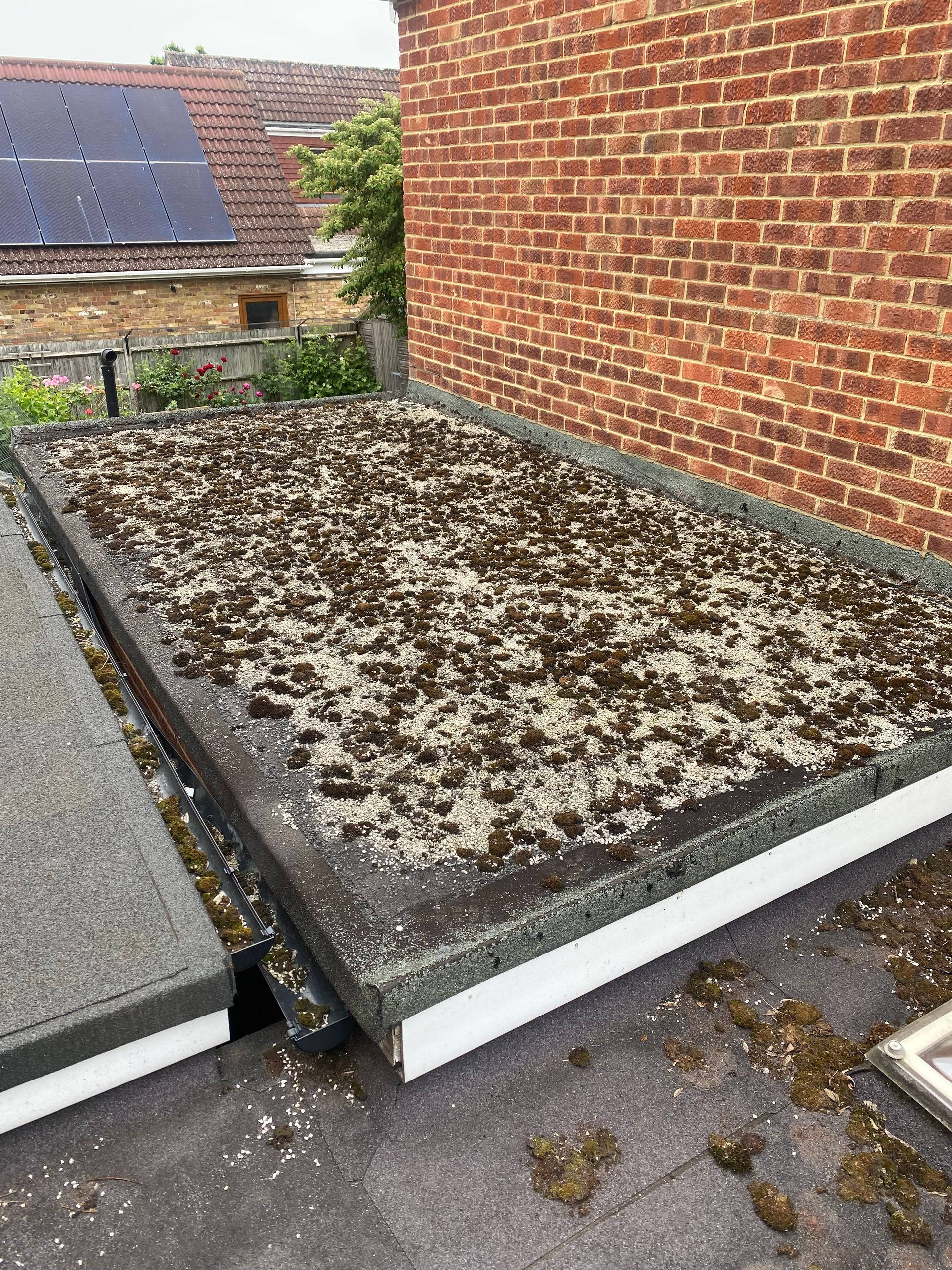 a roof with a lot of moss on it and a brick wall in the background .