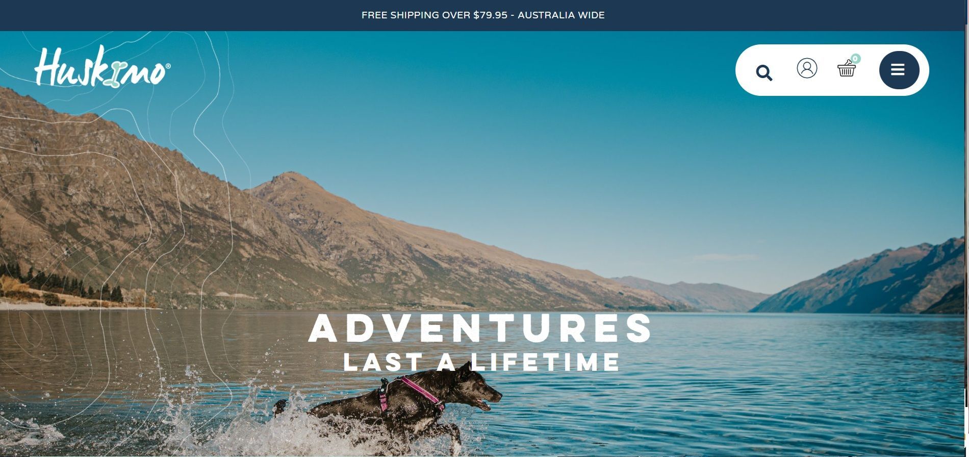 eCommerece/Retail Website Examples