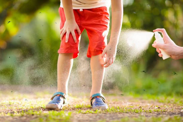 Mosquito on kids skin insect bite repellent