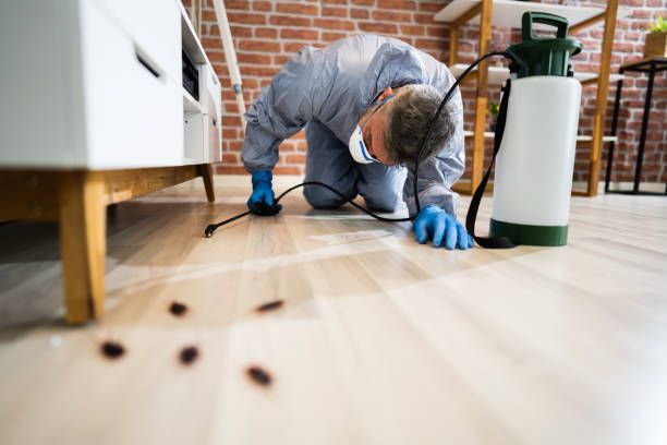 Pest control exterminator services spraying insecticide