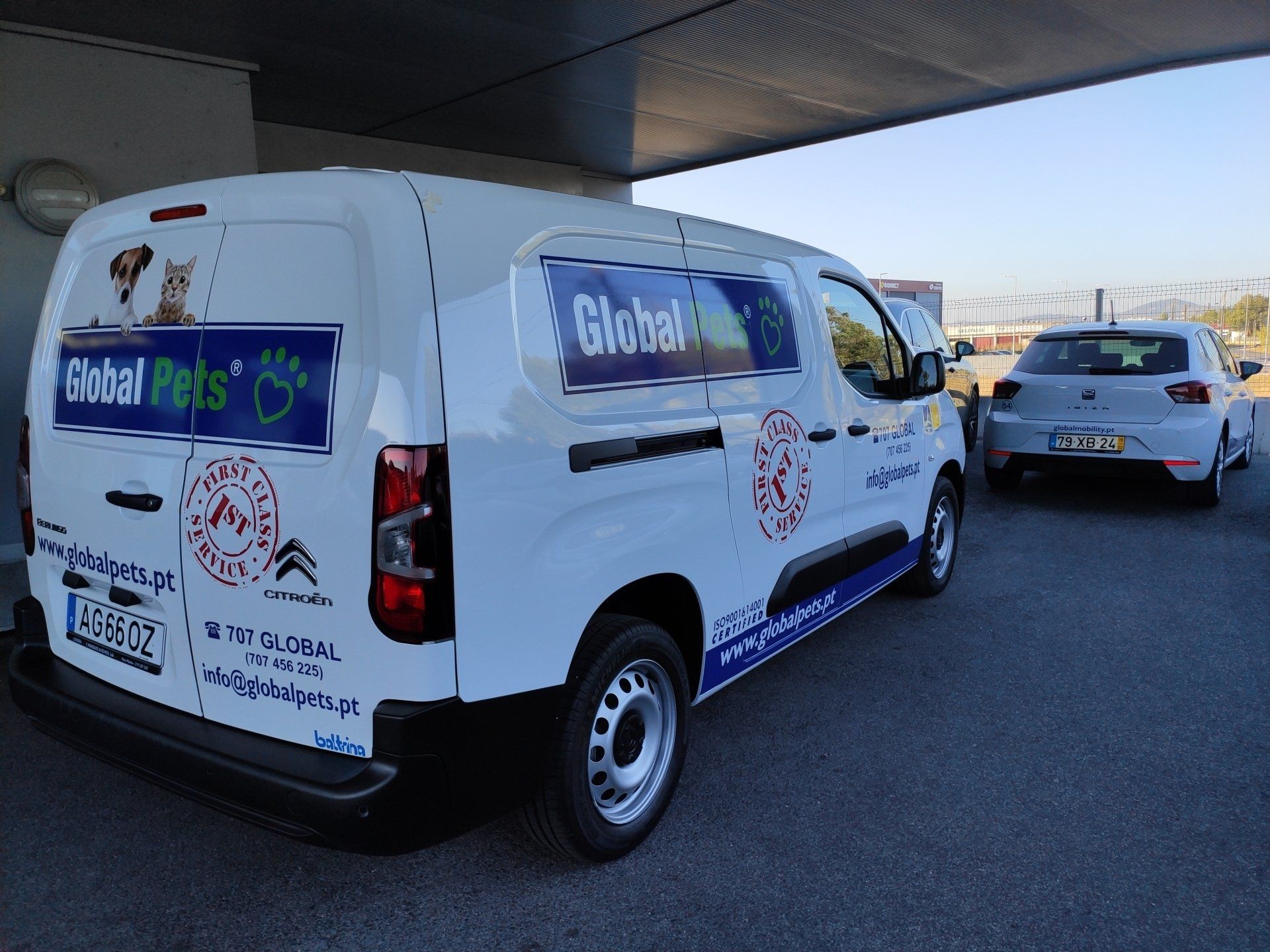 Decoração de viatura citroen berlingo