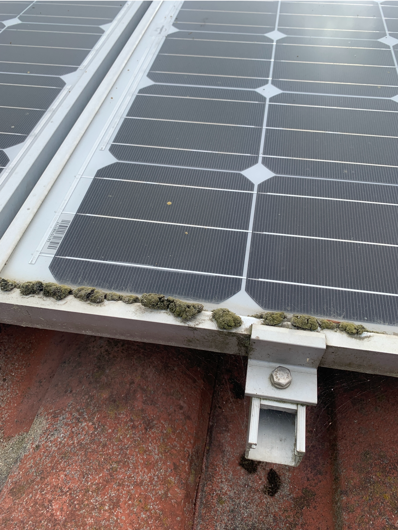 Solar panel being cleaned with a brush and hoses on a rooftop array