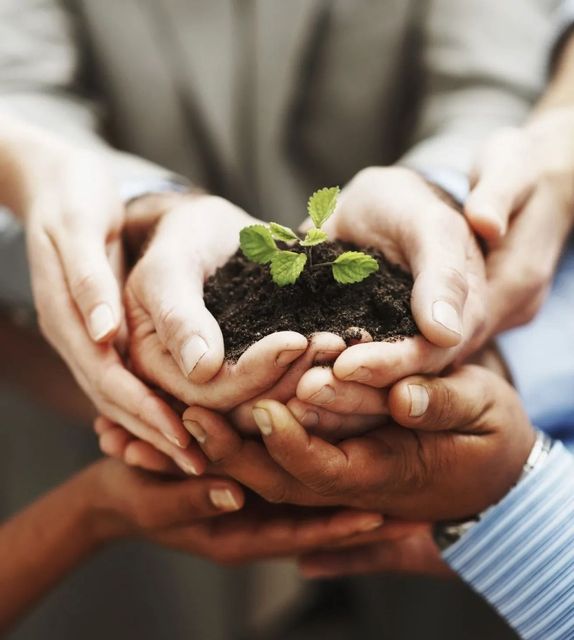 Hands holding a small sapling in dark soil, symbolizing teamwork and growth