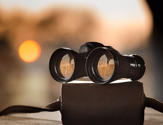 BINOCULARS
