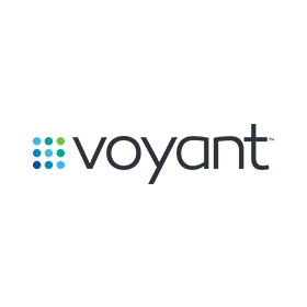 A logo for a company called voyant on a white background.