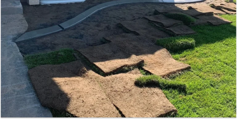 A residential yard under renovation with scattered sections of brown turf rolls waiting to be laid on bare soil.