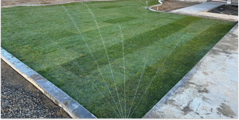 A newly sodded lawn with visible rectangular turf patterns being watered by a sprinkler system.