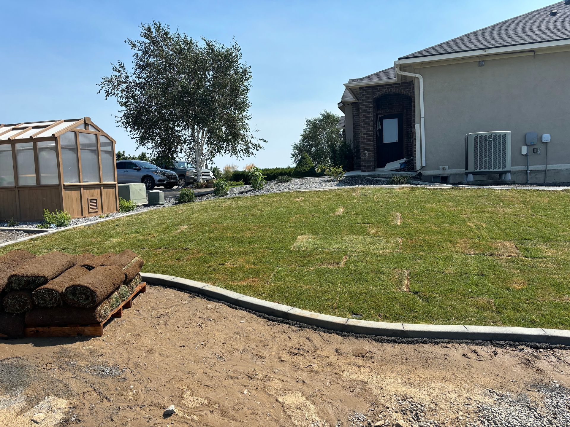 A pallet of sod rolls sits on dirt in the foreground of a residential yard with a greenhouse and house in the background.