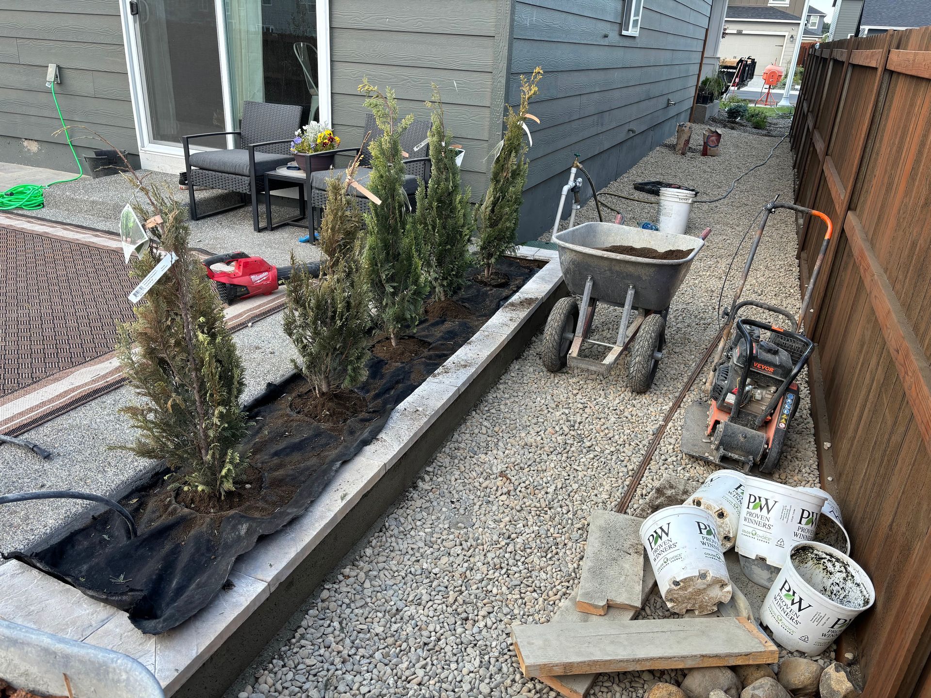 A side yard with a newly installed garden bed containing evergreen shrubs, next to a wheelbarrow and construction supplies.