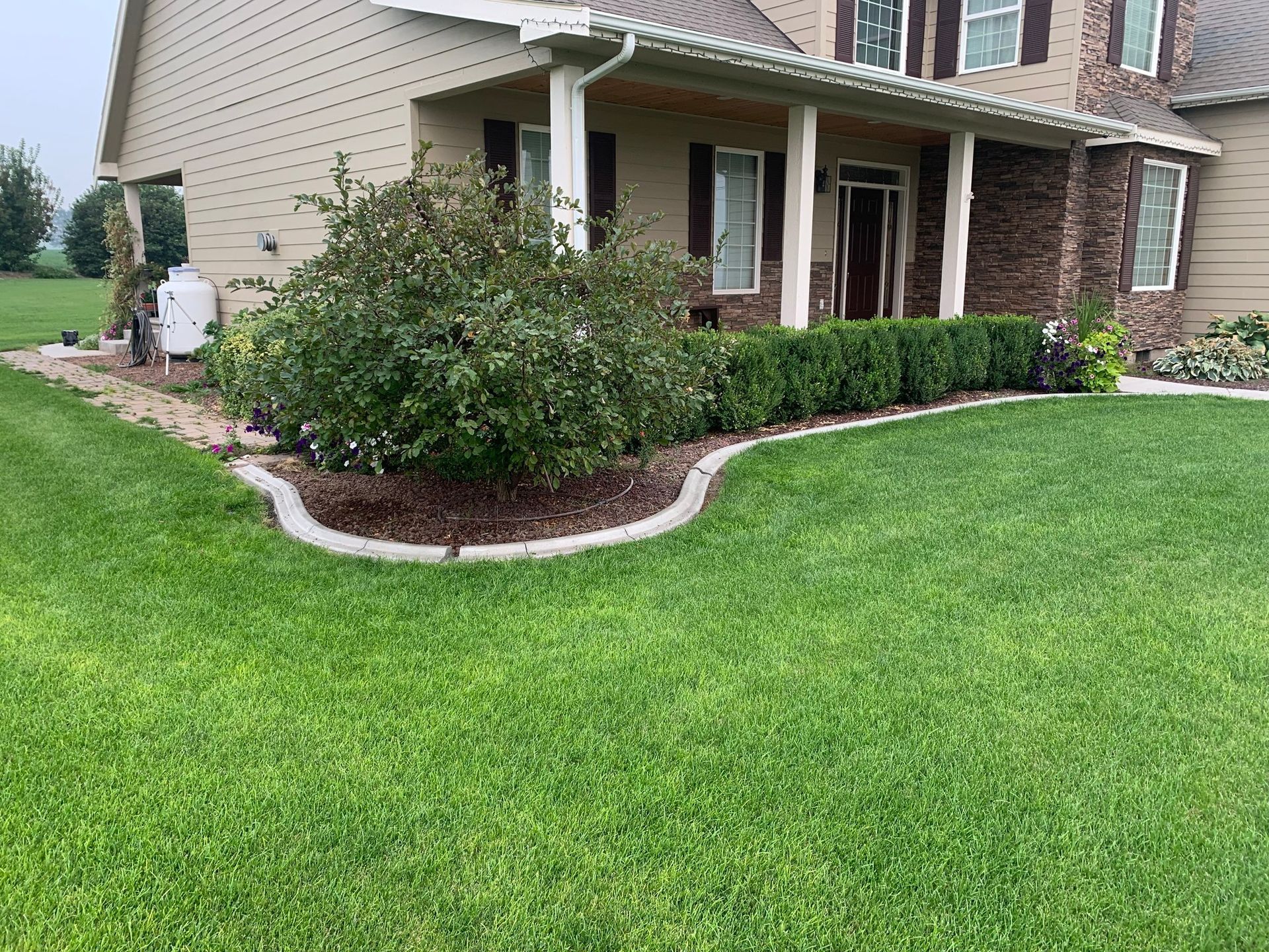 A front yard with a large bush and a hedge in a mulch bed, bordered by concrete edging in front of a tan house.
