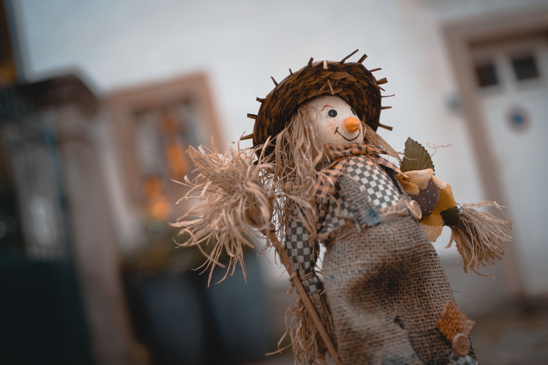 a photo of a scarecrow