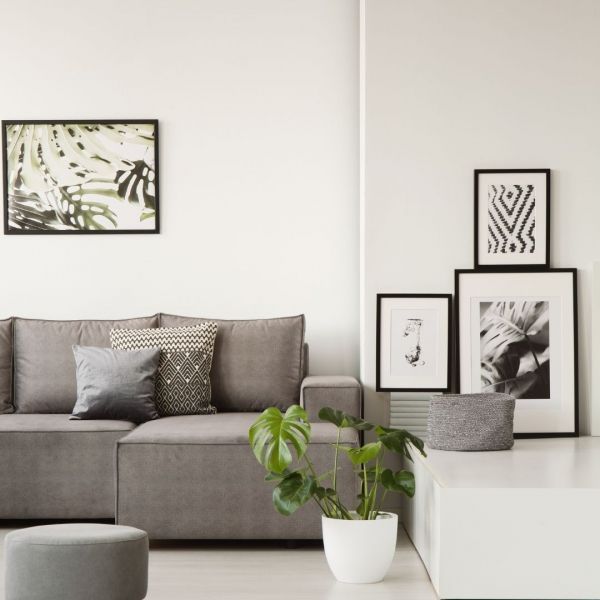 Gray couch with decorative pillows, art on walls, and potted plant on white table.