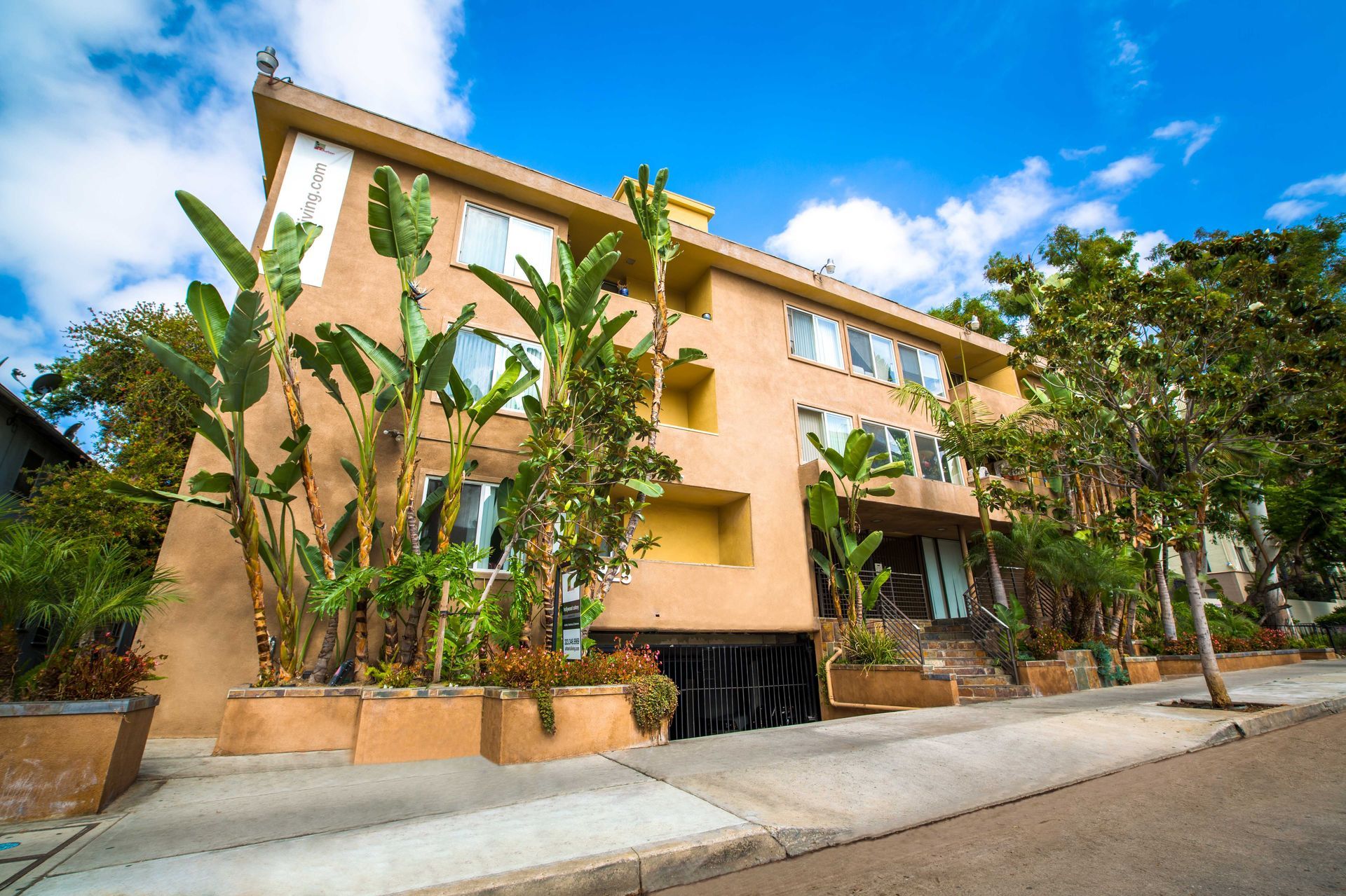 Hollywood Colony, Studio - Image 4