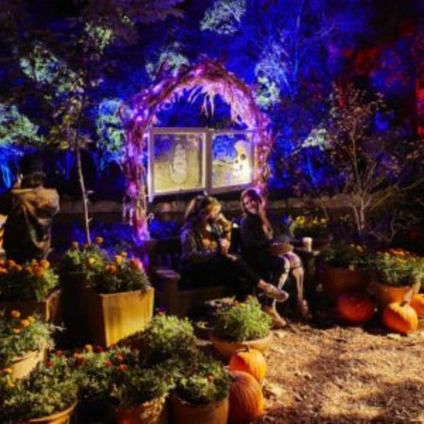 Two people seated in a decorated Halloween garden with pumpkins, plants, and blue and red lighting.