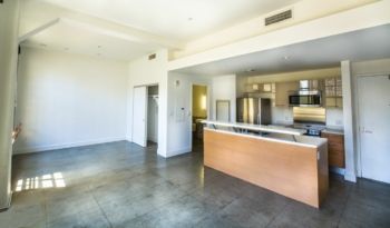 Open-plan loft apartment with polished concrete floor, kitchen island, and stainless steel appliances.