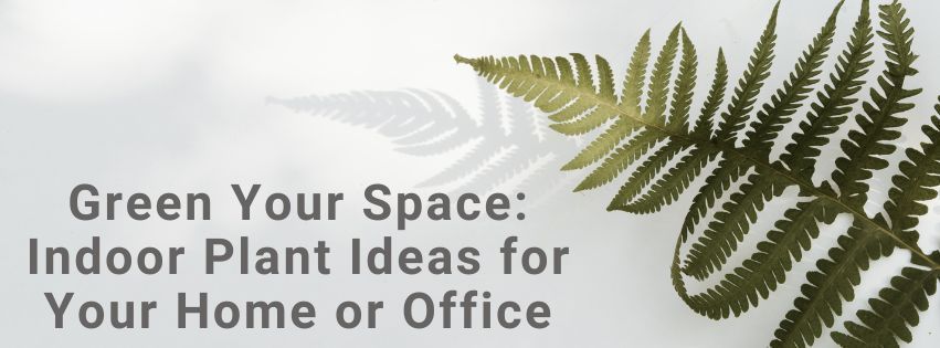 Green plant in front of a white background with text 