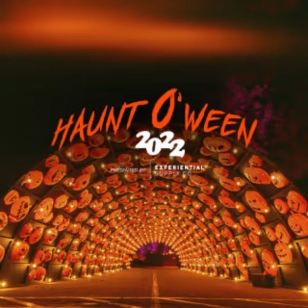 Tunnel entrance lit with jack-o'-lanterns, reads 