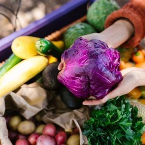 Hands holding a purple cabbage over a crate of mixed fresh produce, including zucchini, potatoes, and oranges.