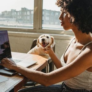 Woman working on laptop with a dog, both in a sunlit room. The dog has its head resting on her hand.