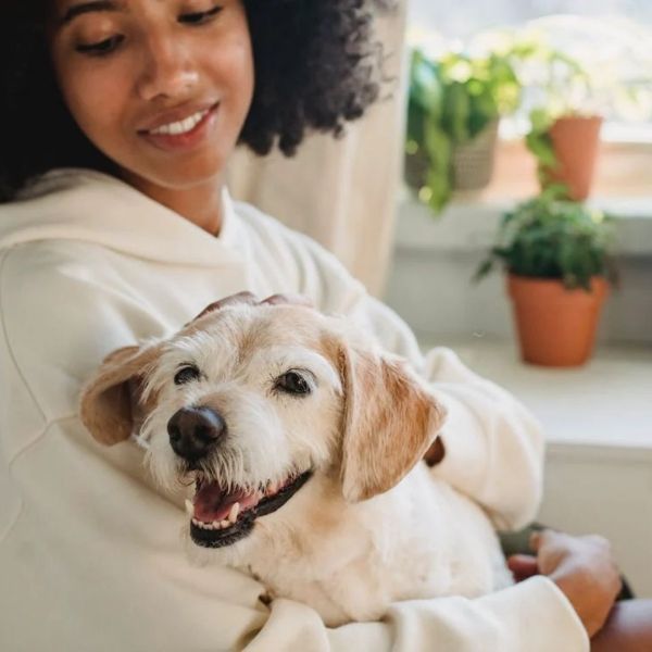 Woman holding and petting a smiling, small dog; indoors near plants and a window.