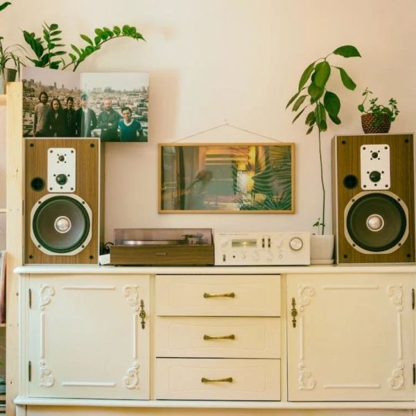 Wooden stereo speakers flank a cream cabinet with a turntable, amplifier, and plants; artwork on the wall.