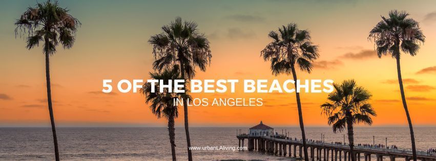 Palm trees on a beach at sunset, with text: 5 of the best beaches in Los Angeles.