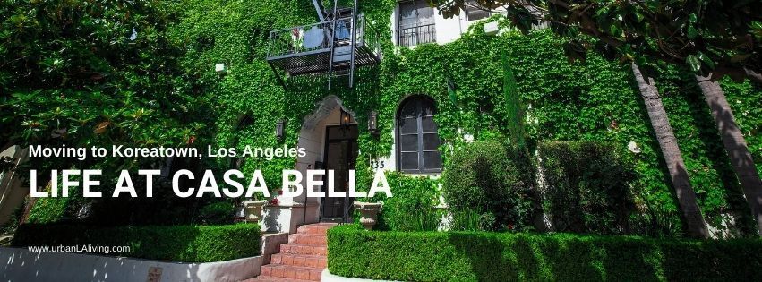 House covered in ivy, with the text 