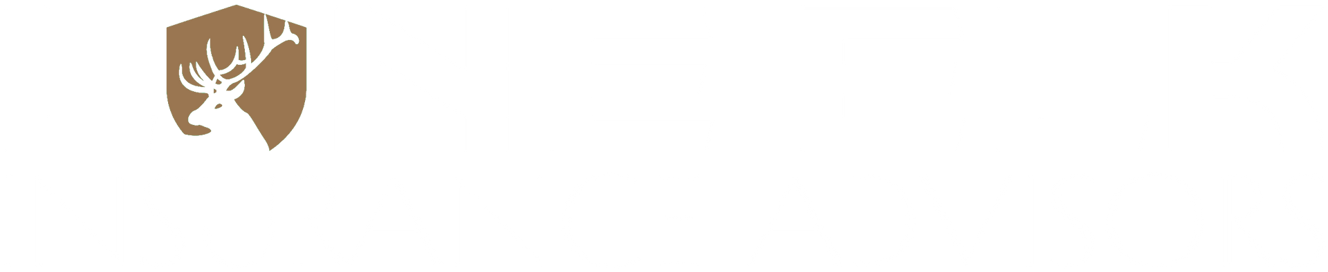 Lone Elk Advisory Group logo with pale blue diamond lines and tan script text on white background