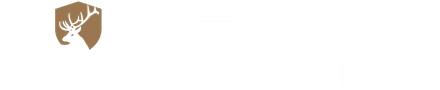 Lone Elk Advisory Group logo with pale blue diamond lines and tan script text on white background