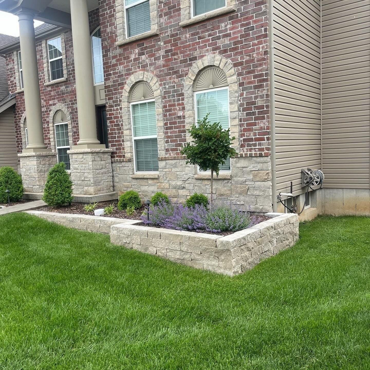 A brick house with a stone flower bed filled with lavender and a small tree, on a grassy lawn.